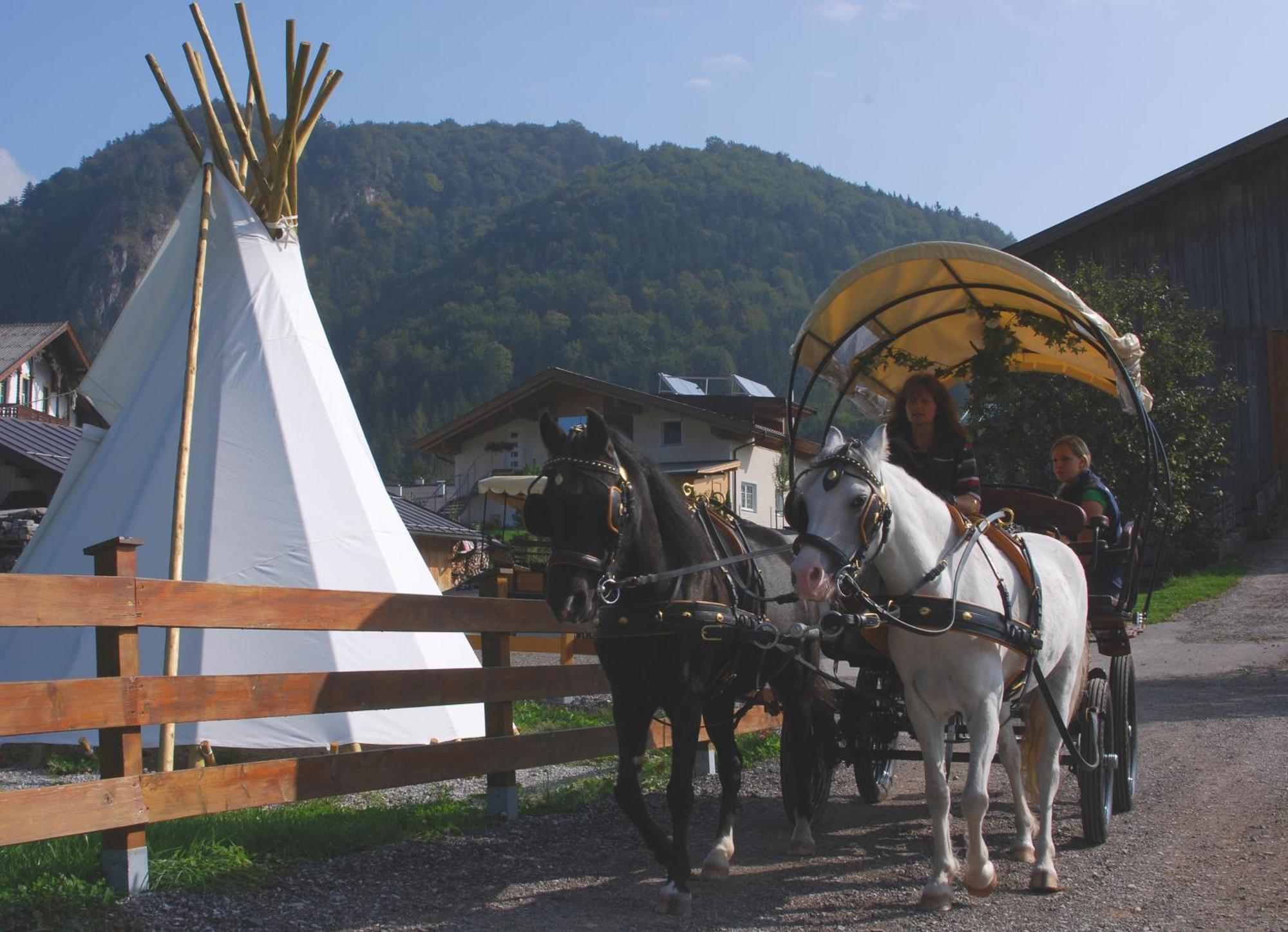 Reitanlage Dagnhof Daire Walchsee Dış mekan fotoğraf