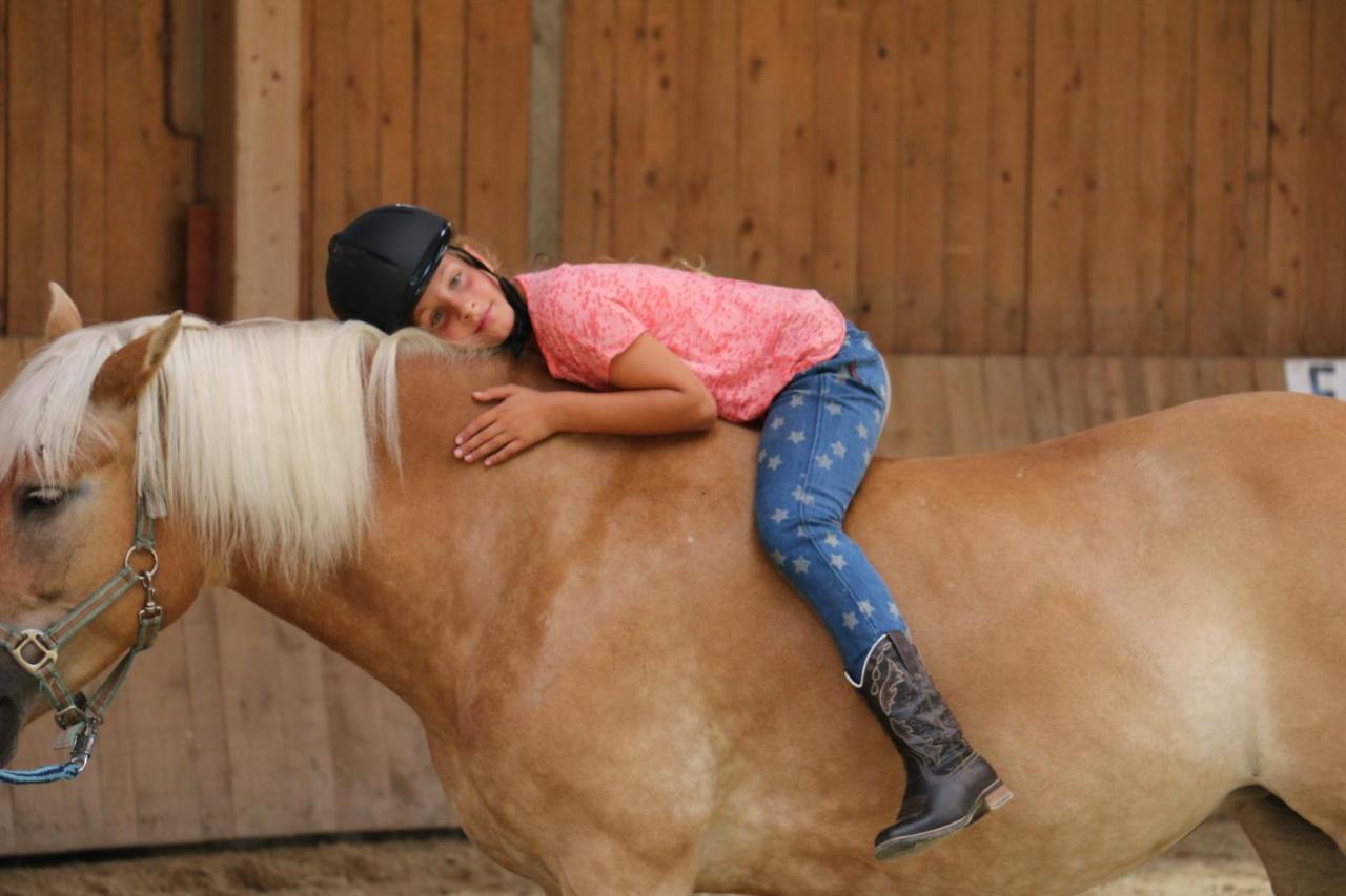 Reitanlage Dagnhof Daire Walchsee Dış mekan fotoğraf