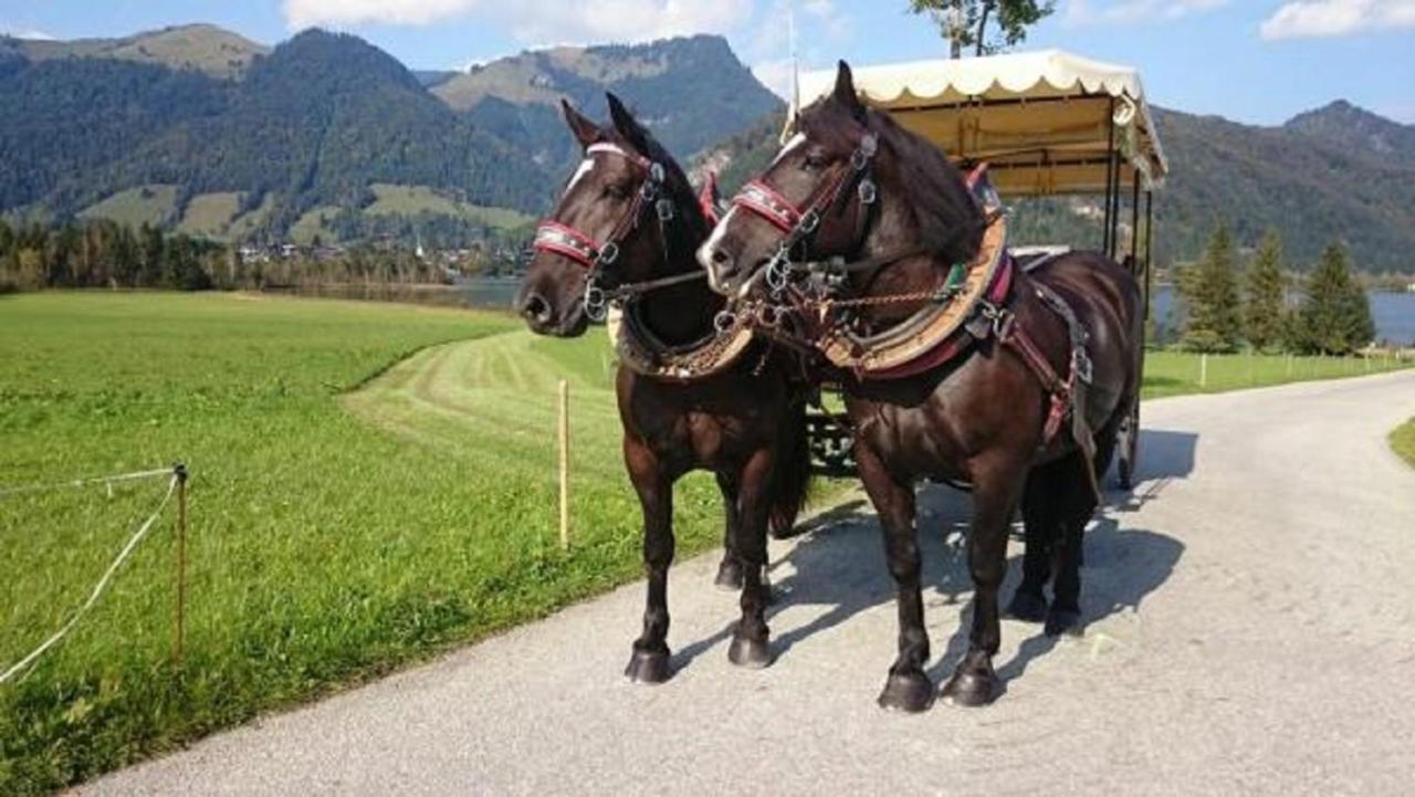 Reitanlage Dagnhof Daire Walchsee Dış mekan fotoğraf